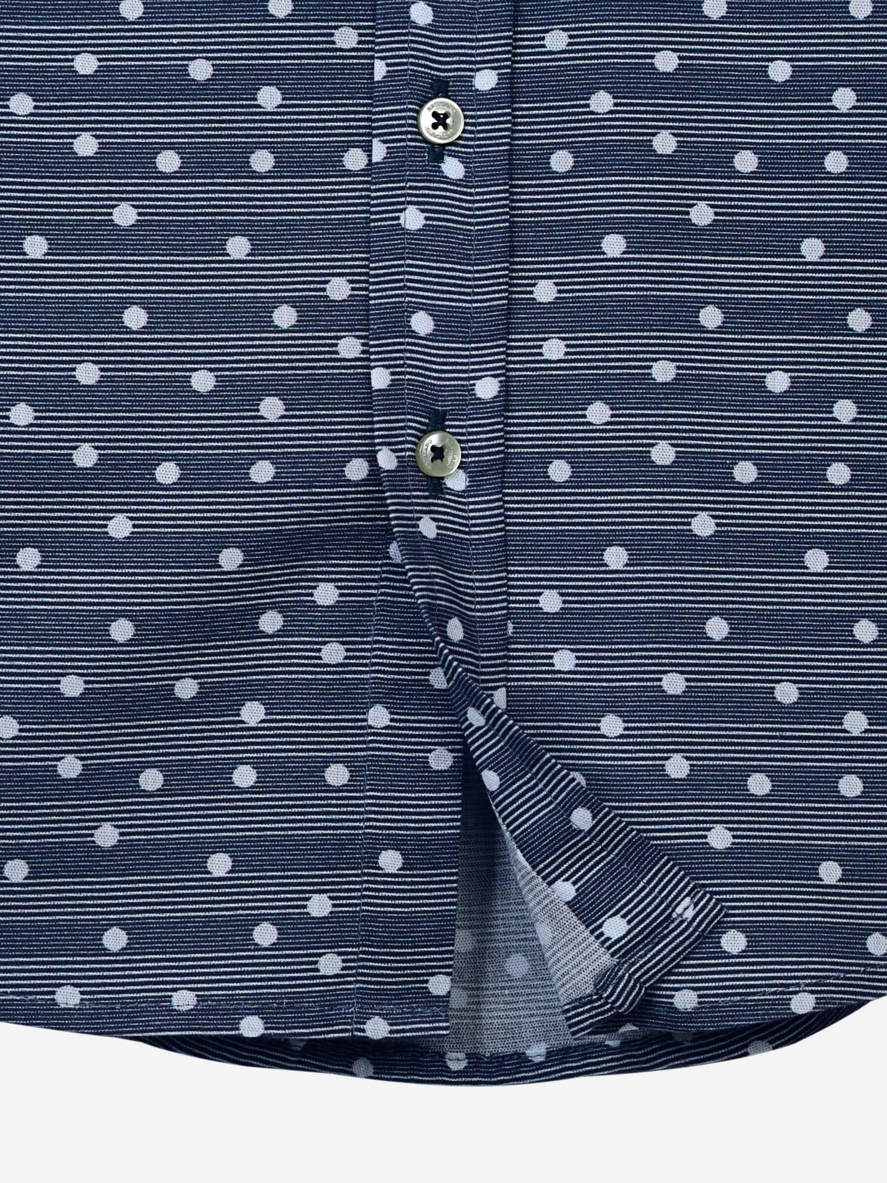 Blue Dot Striped Long Sleeve Casual Shirt